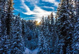 Backcountry and Cross country Skiing in Jasper Alberta